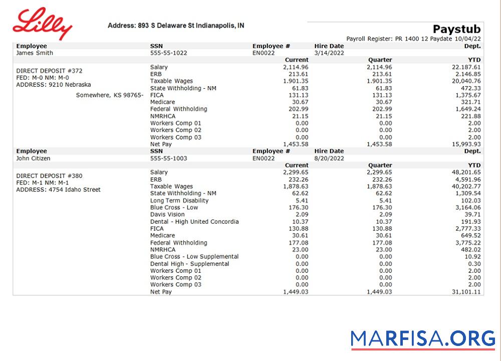 Printable USA pharmaceutical company earnings statement sample